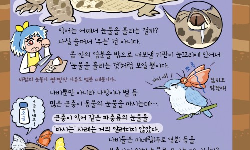 脸上有块白色块状-脸上有一小块白色光滑网 - 脸上有一块小白块是什么,脸上有一小块淡白色